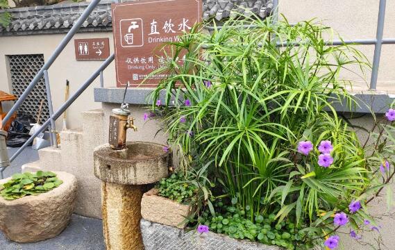 浙中收藏品市場(chǎng)將于5月16日恢復(fù)開市